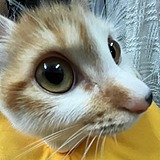 MaDzzz的头像