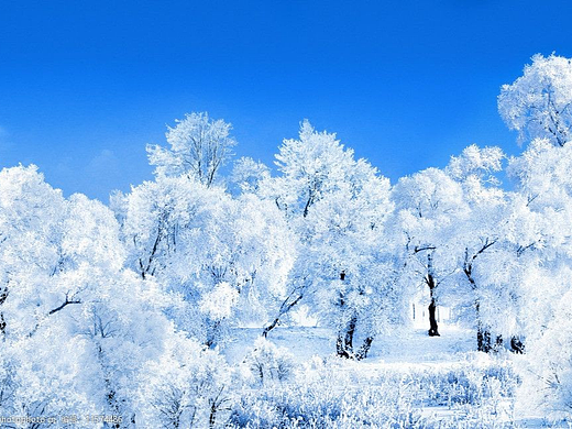 冬季8个拍摄小技巧!雪景这样拍美!翻!天!