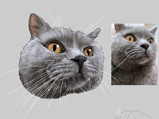 猫猫们