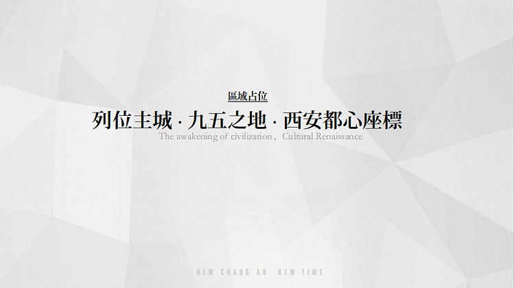2023金泰青龙寺高端豪宅地产项目年度推广策略方案