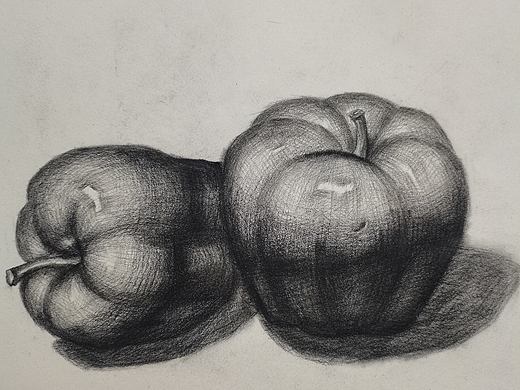 美术技能 | 素描练习