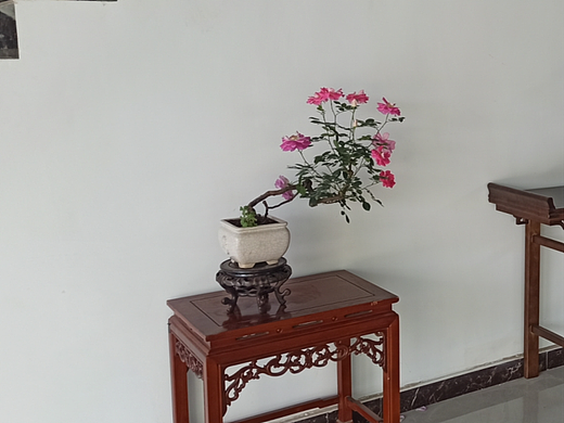 插花