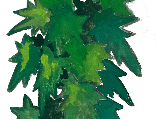 手绘水彩植物16