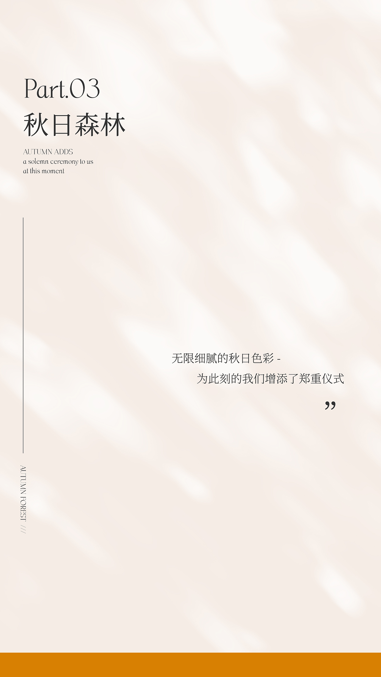 [海报] 秋日美拉德风丨客片特刊（图ZMzgyOTU0OTQw） - 海报 - 站酷设计师柳城记原创素材 - 站酷ZCOOL