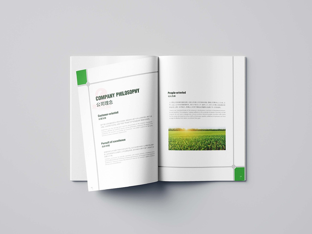 一希品牌设计---农业农药产品画册宣传册设计