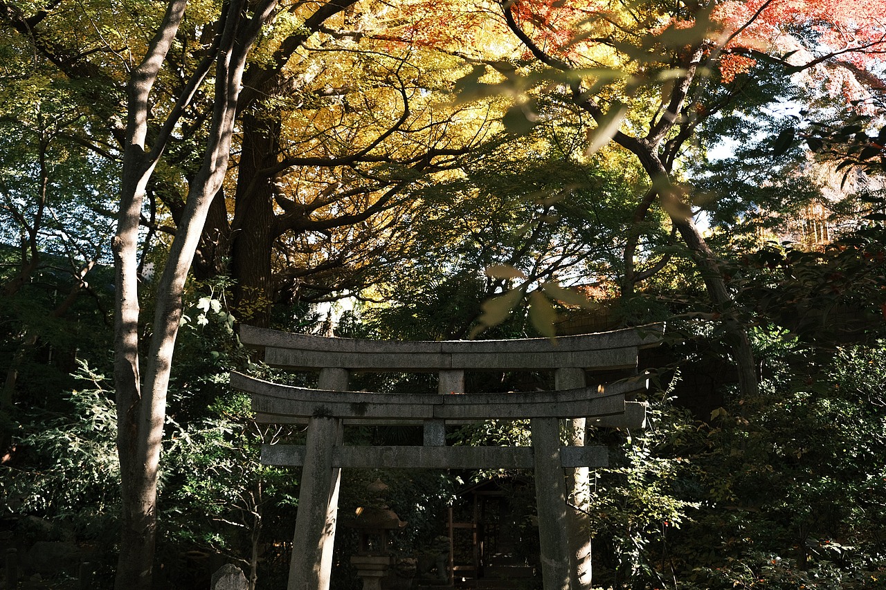 东京·代代木公园