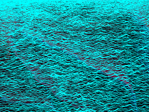 鲸落