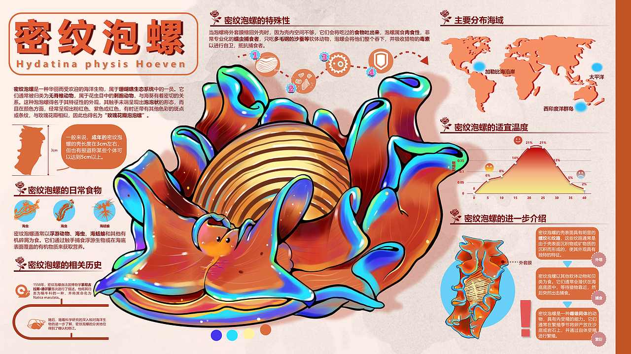 玫瑰花瓣泡泡螺