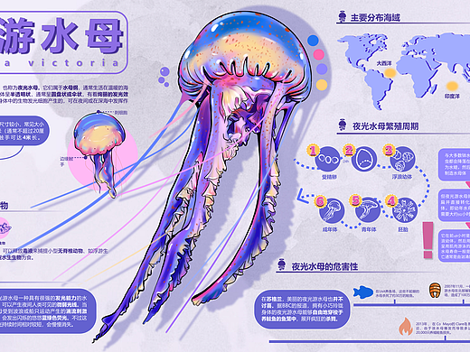 稀有海洋生物的信息可视化设计