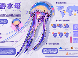 毕设