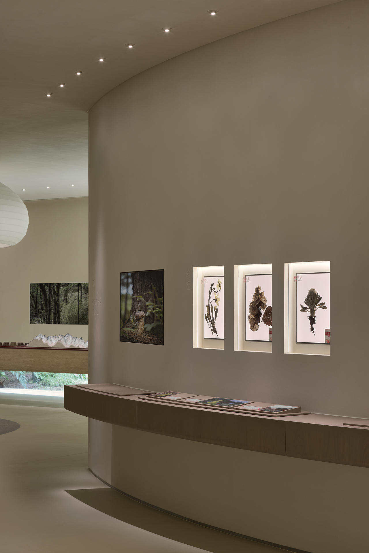 △公益区「稀园」展示香格里拉珍贵植被标本