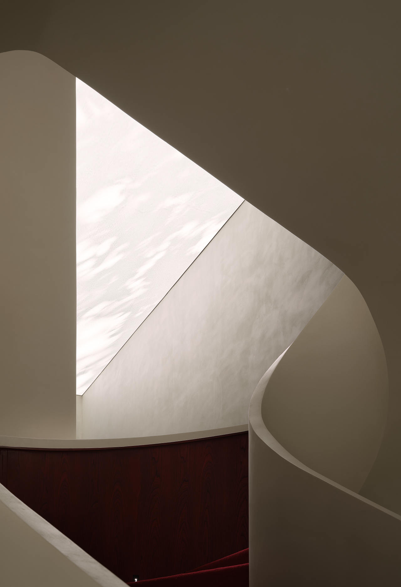 稀物集品牌文化体验空间,开启一场珍稀松茸的探寻之旅