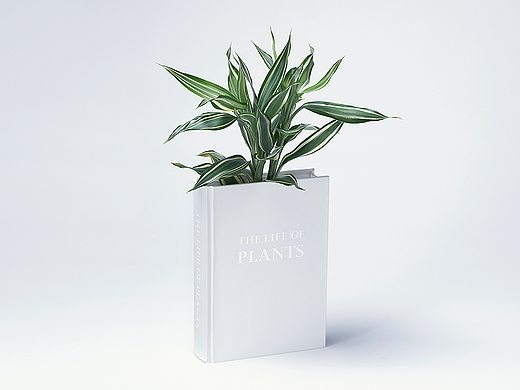 BOOK