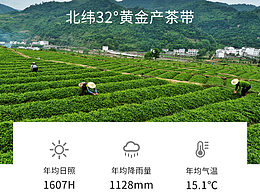 茶叶详情页设计