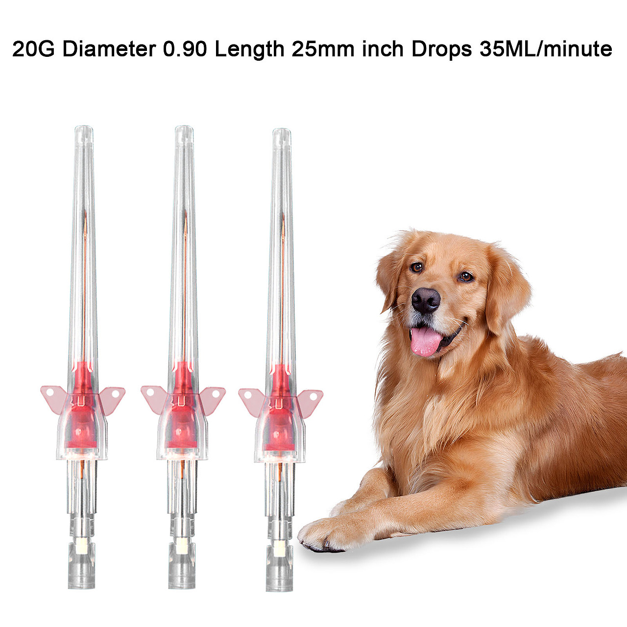 亚马逊宠物留置针