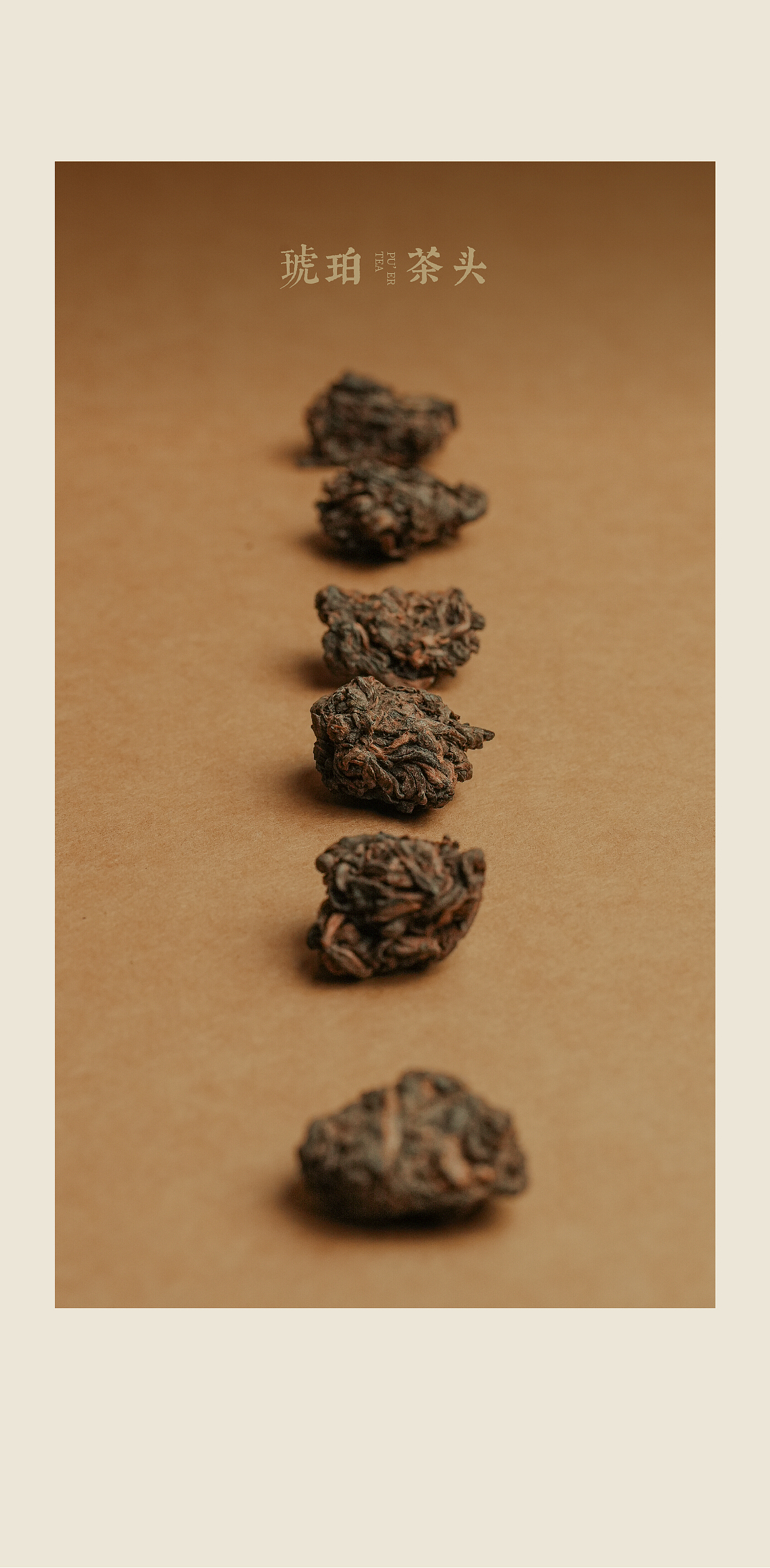 公众号排版设计 | 琥珀茶头(23年作品)