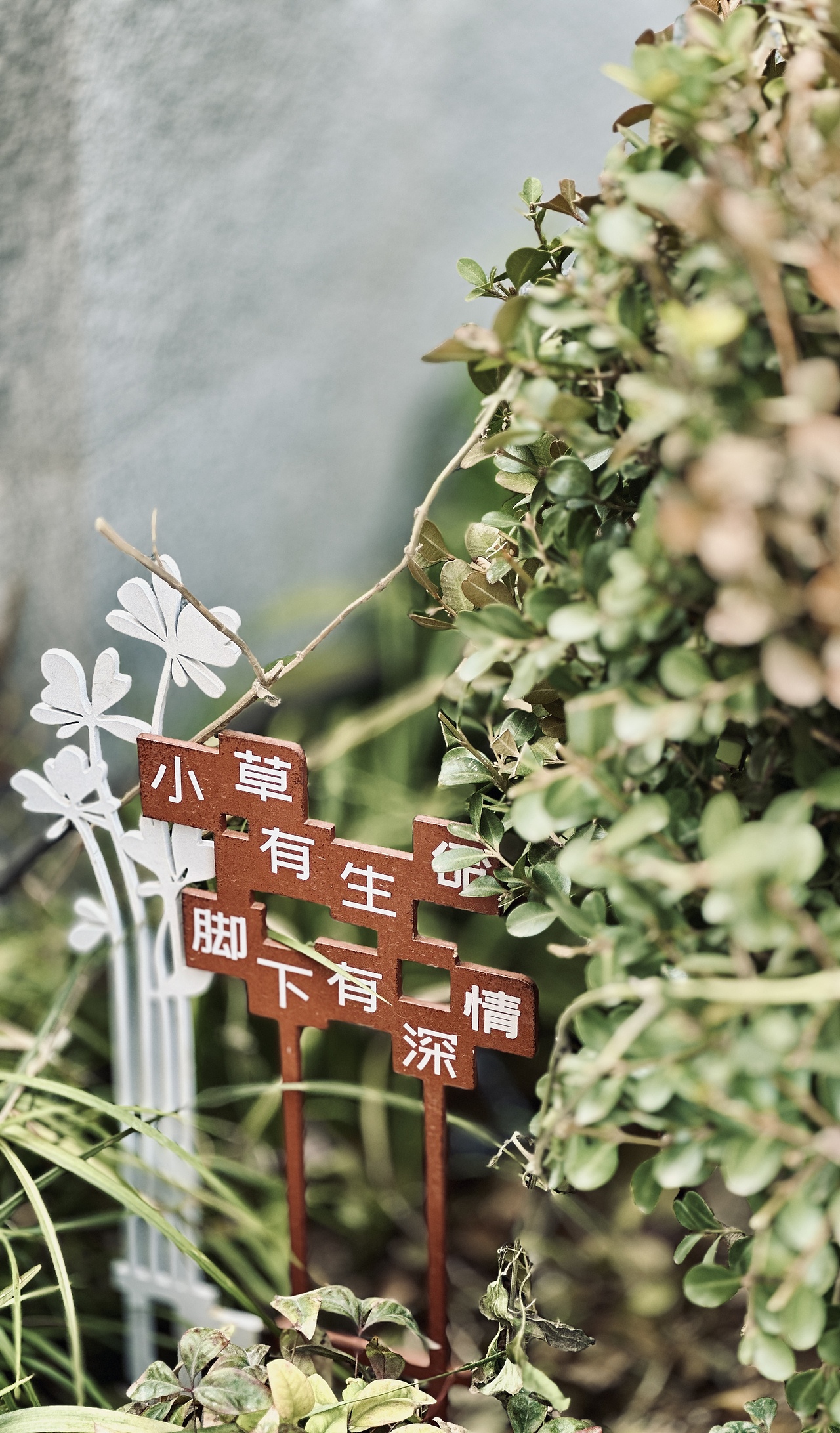 郑州·阜民里城市更新 | 外象设计（图ZMzgzMDIzOTcy） - 商业空间设计 - 站酷设计师蒋_萌原创素材 - 站酷ZCOOL