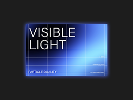 VISIBLE LIGHT-品牌设计