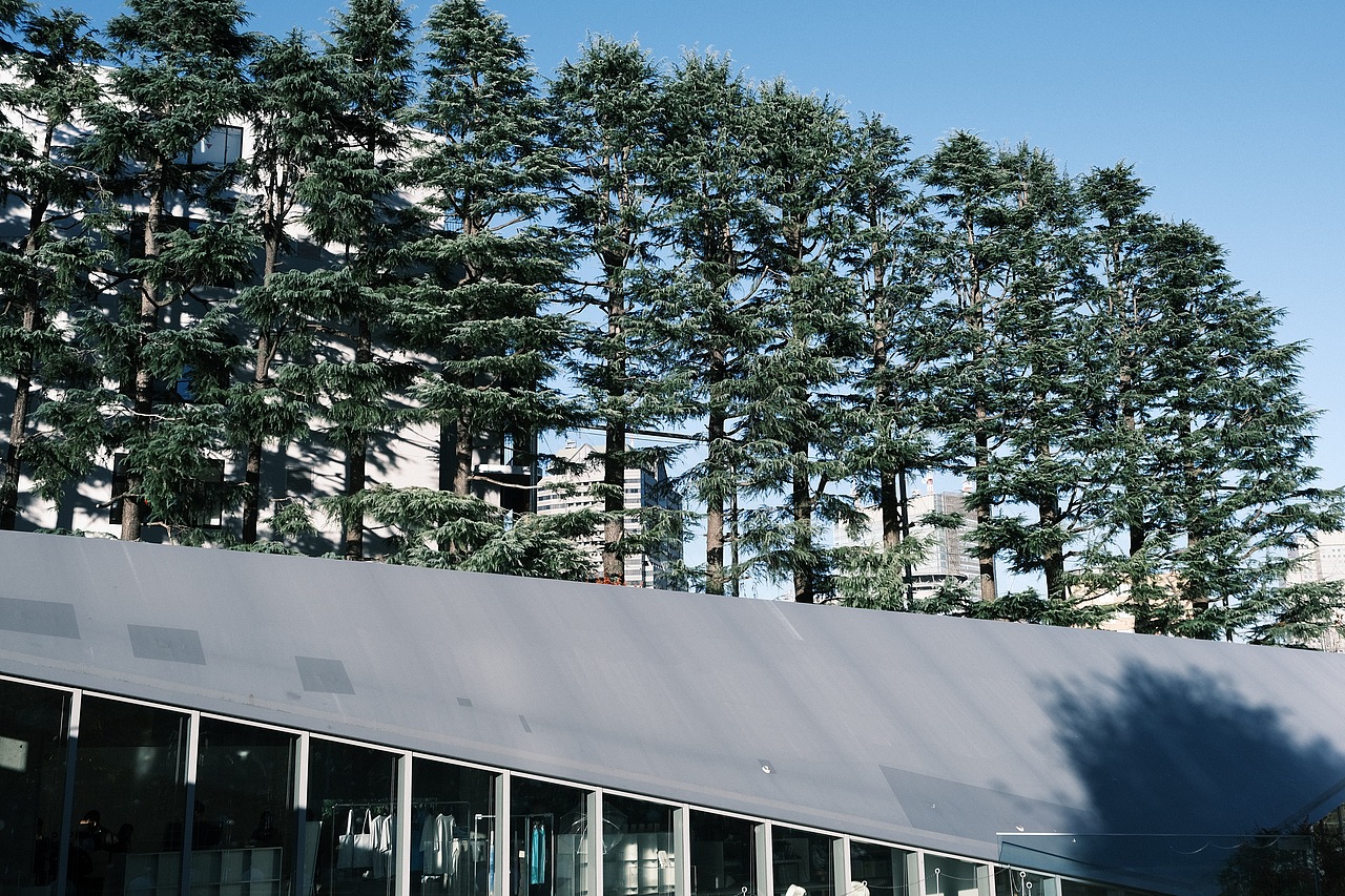 东京·21_21Design Sight