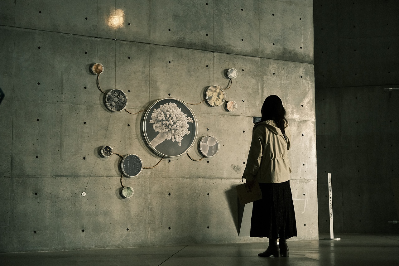 东京·21_21Design Sight