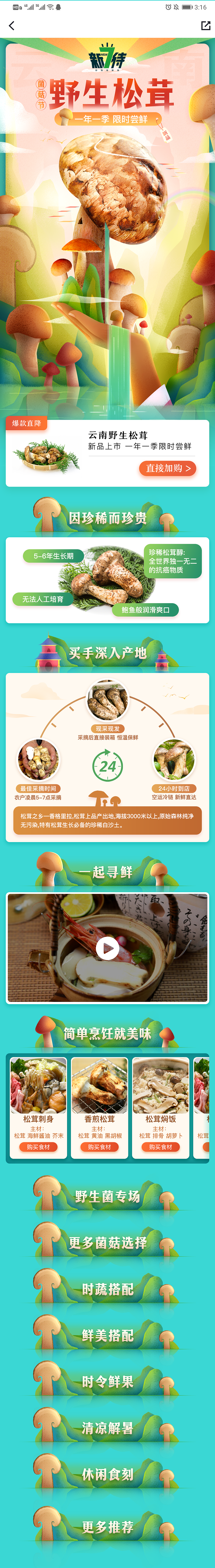 新七待|野生松茸 专题