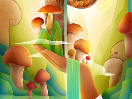 新七待｜野生松茸 专题