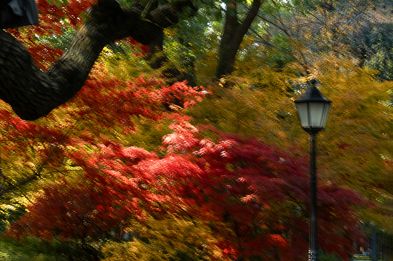 【瑞金宾馆.秋冬色彩】