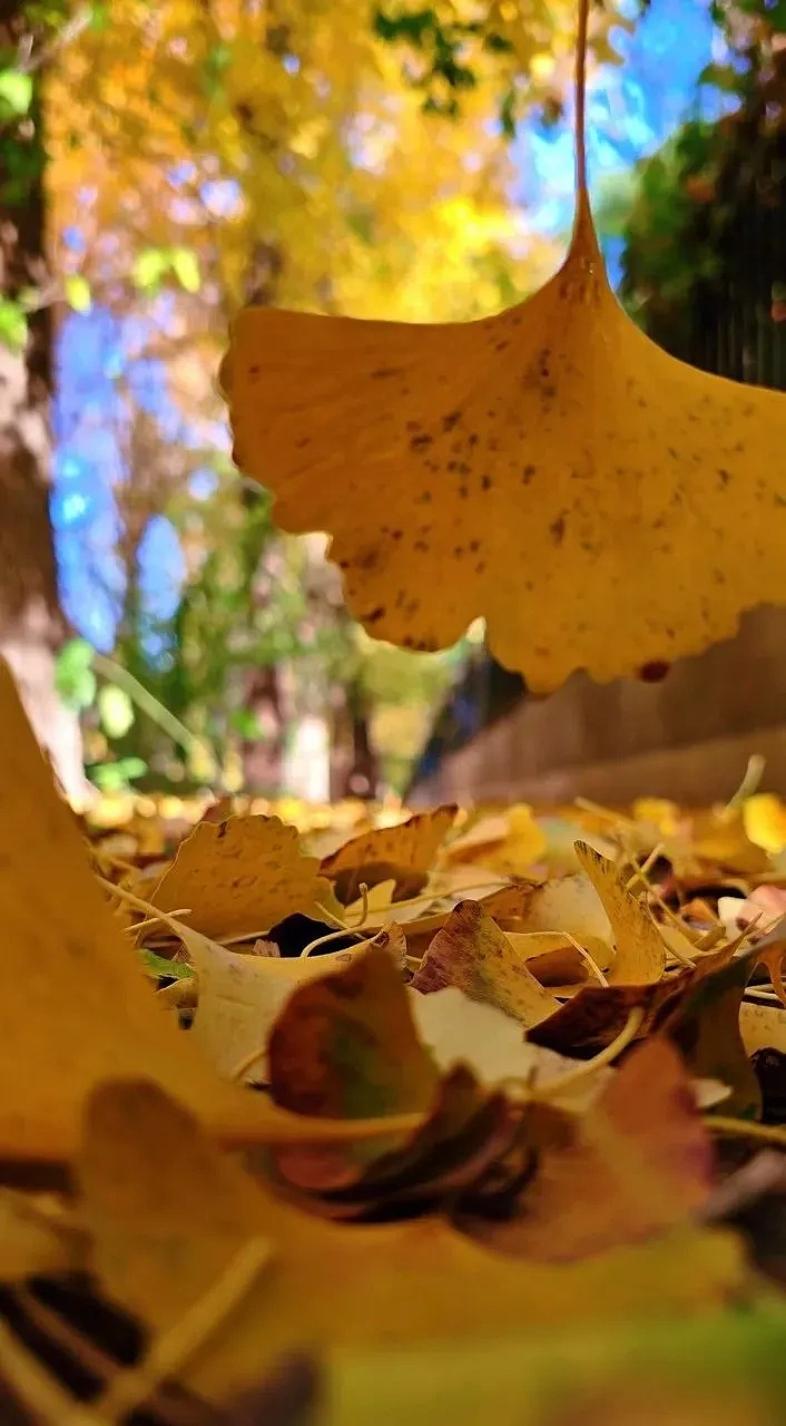 黄昏下的山暖叠嶂（图ZMzgzMDUxNjg0） - 风光摄影 - 站酷设计师子白七原创素材 - 站酷ZCOOL