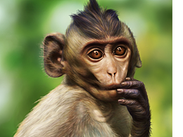 厚涂练习《猴子》