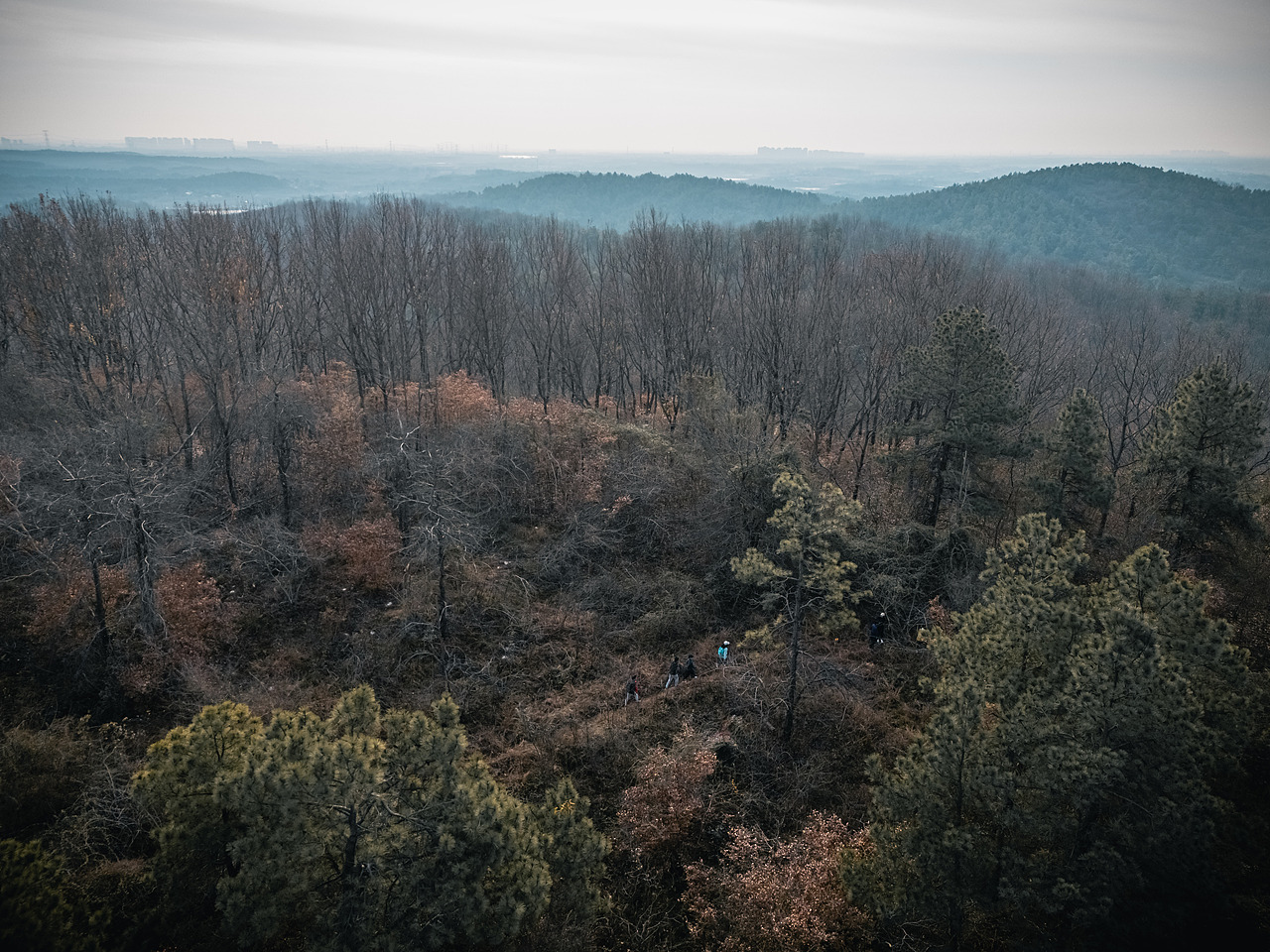 2024紫蓬猎狐山地跑 精彩回顾 （第一辑）（图ZMzgzMDcyNDYw） - 其他摄影 - 站酷设计师合肥奔流体育原创素材 - 站酷ZCOOL