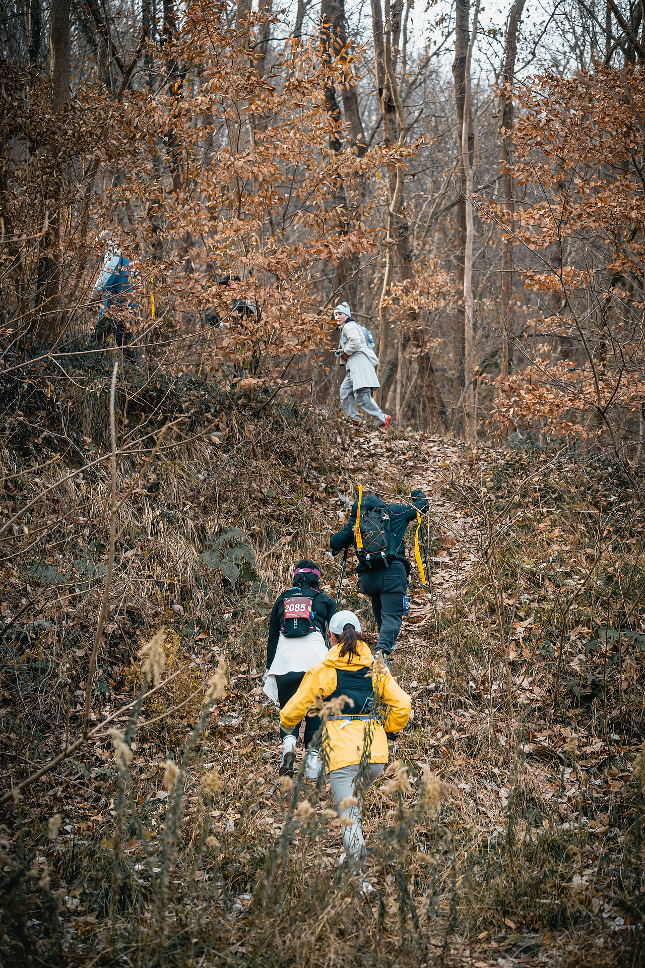 2024紫蓬猎狐山地跑 精彩回顾 （第一辑）（图ZMzgzMDcyNDgw） - 其他摄影 - 站酷设计师合肥奔流体育原创素材 - 站酷ZCOOL