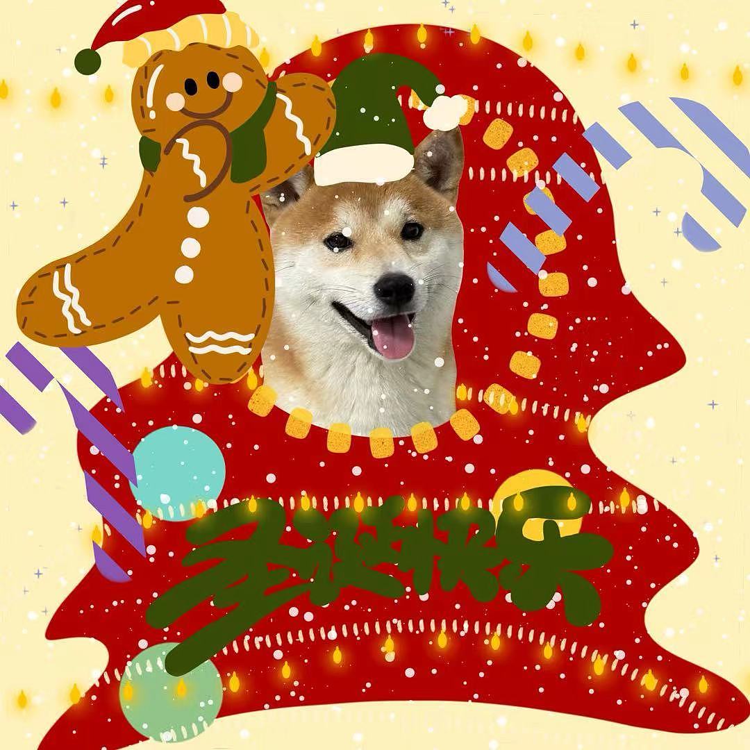 我宣布……这是我可爱的圣诞修狗