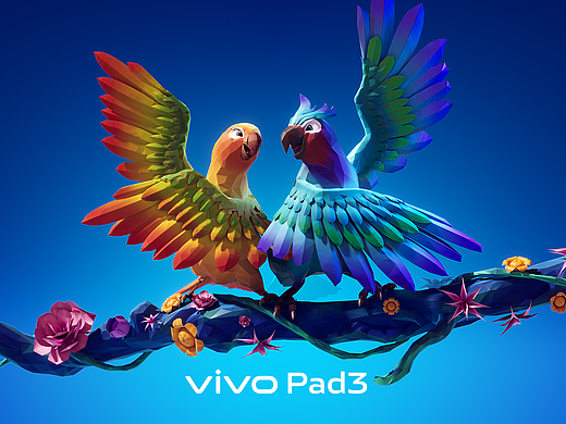 vivo Pad3