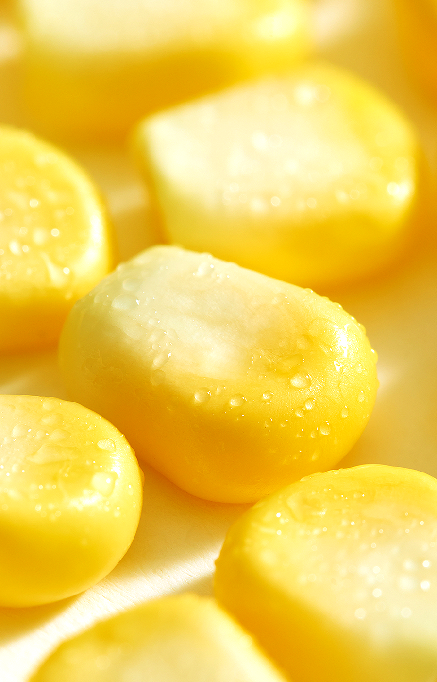 202406 三胖蛋玉米静物2