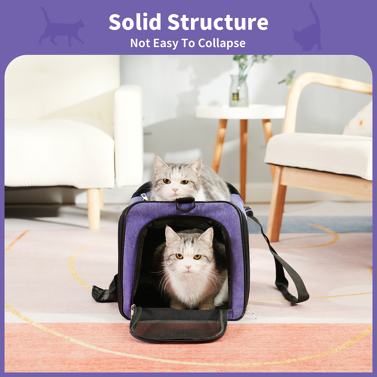 主图设计详情排版亚马逊跨境电商A+设计视频拍摄制作产