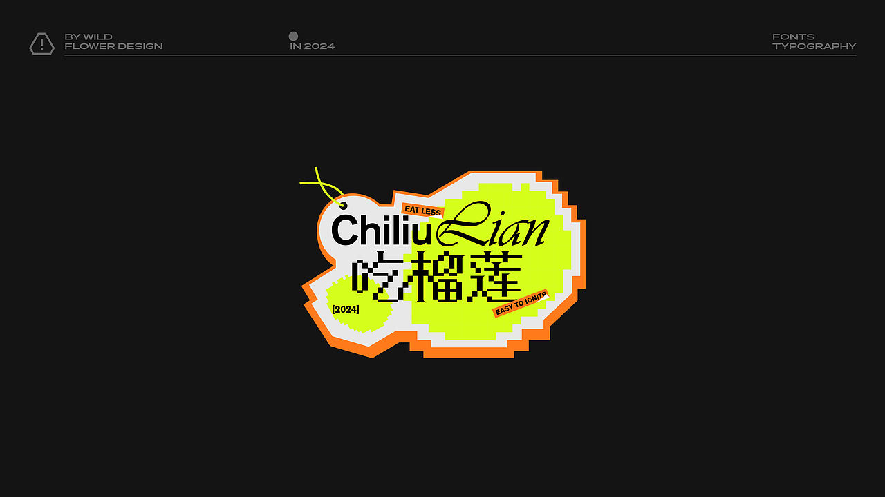 字体排版2024合集（图ZMzgzMDkyNjU2） - 字体/字形 - 站酷设计师野生花品牌设计原创素材 - 站酷ZCOOL