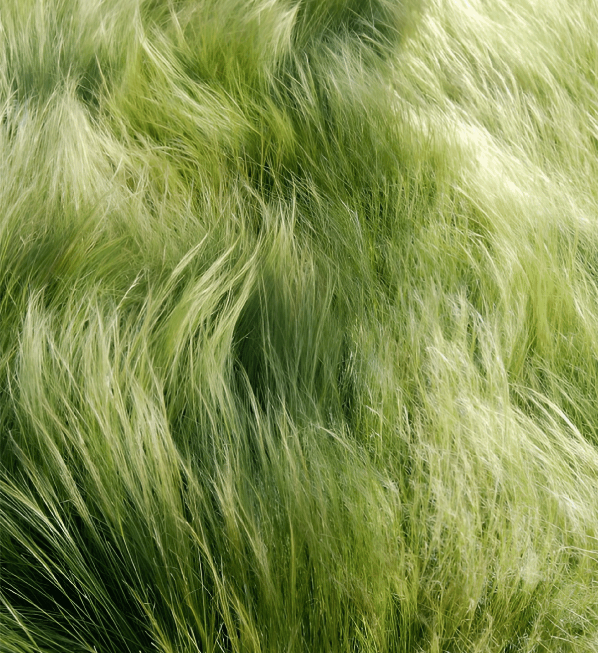 Youngtime 有时光 | ABD案例（图ZMzgzMTAyNzg4） - 品牌 - 站酷设计师ABD品牌策略设计原创素材 - 站酷ZCOOL