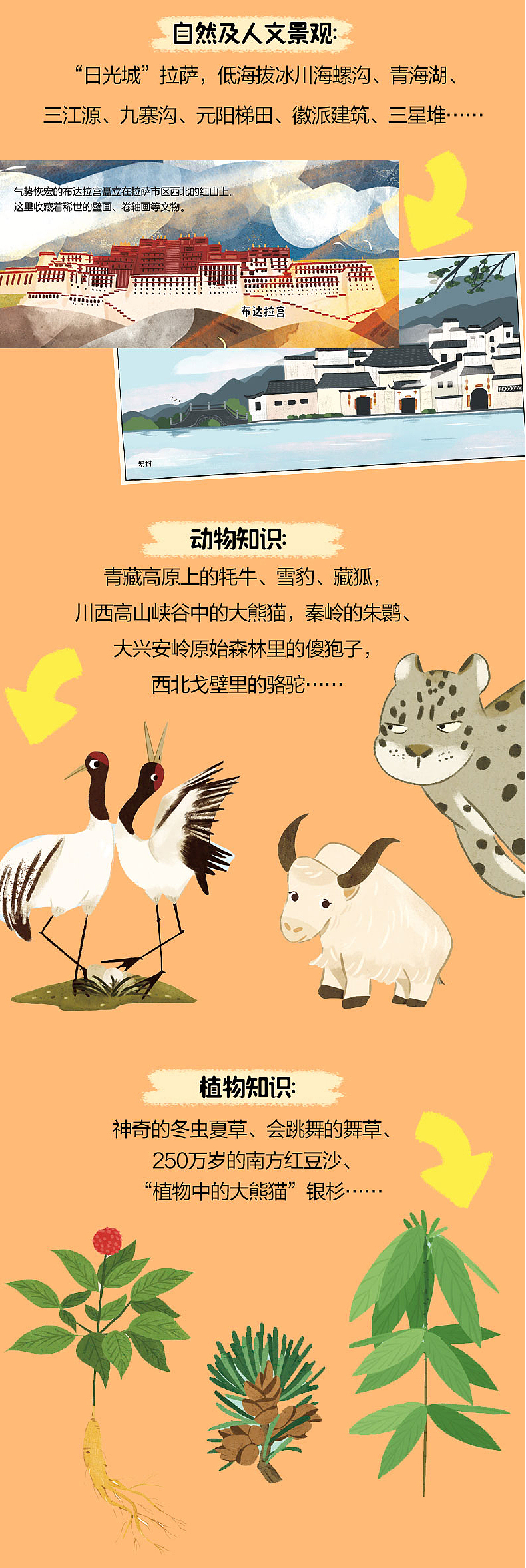 《跟着旺达游中国》- 地理启蒙绘本（图ZMzgzMTA3OTg0） - 绘本 - 站酷设计师Maoli_原创素材 - 站酷ZCOOL