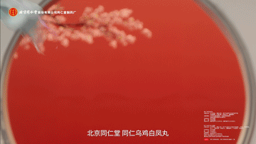 北京同仁堂，好身体可不是虚的（图ZMTQ5OTk2NDA=） - 观点 - 站酷设计师站酷共创原创素材 - 站酷ZCOOL