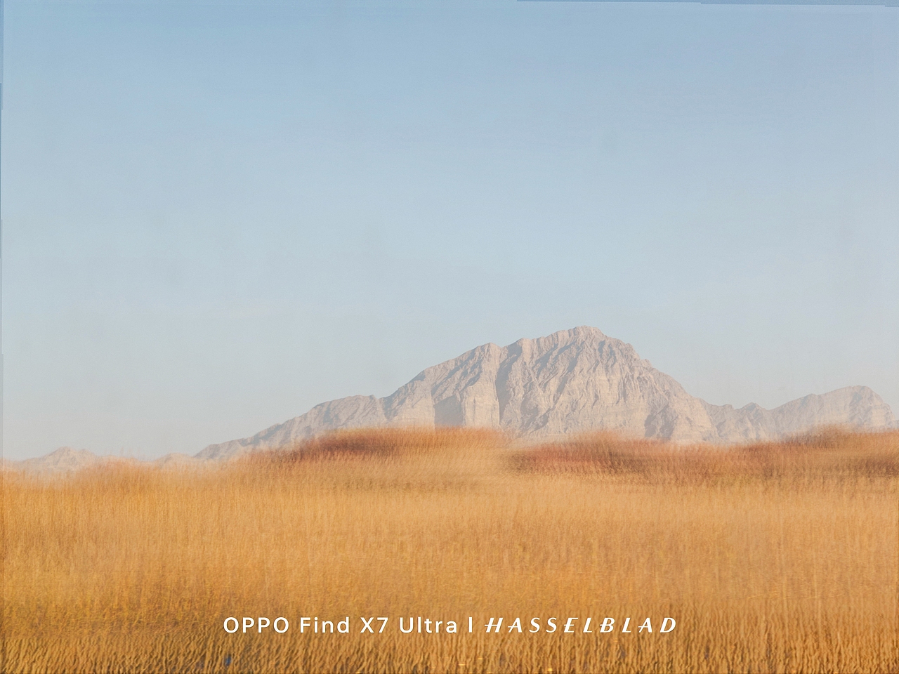 OPPO Find X7 Ultra手机下的风景
