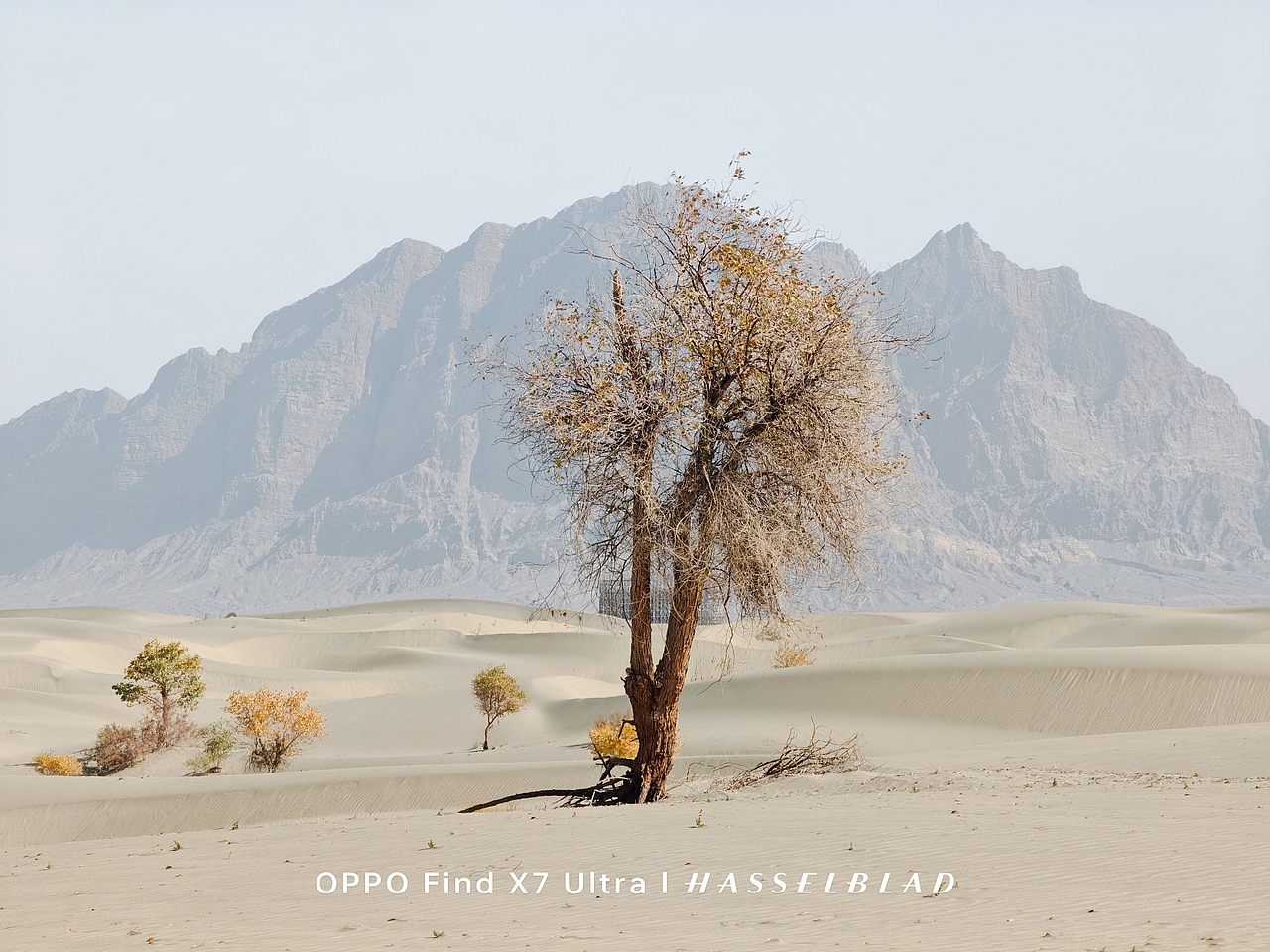 OPPO Find X7 Ultra手机下的风景