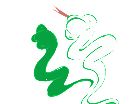 小白小青