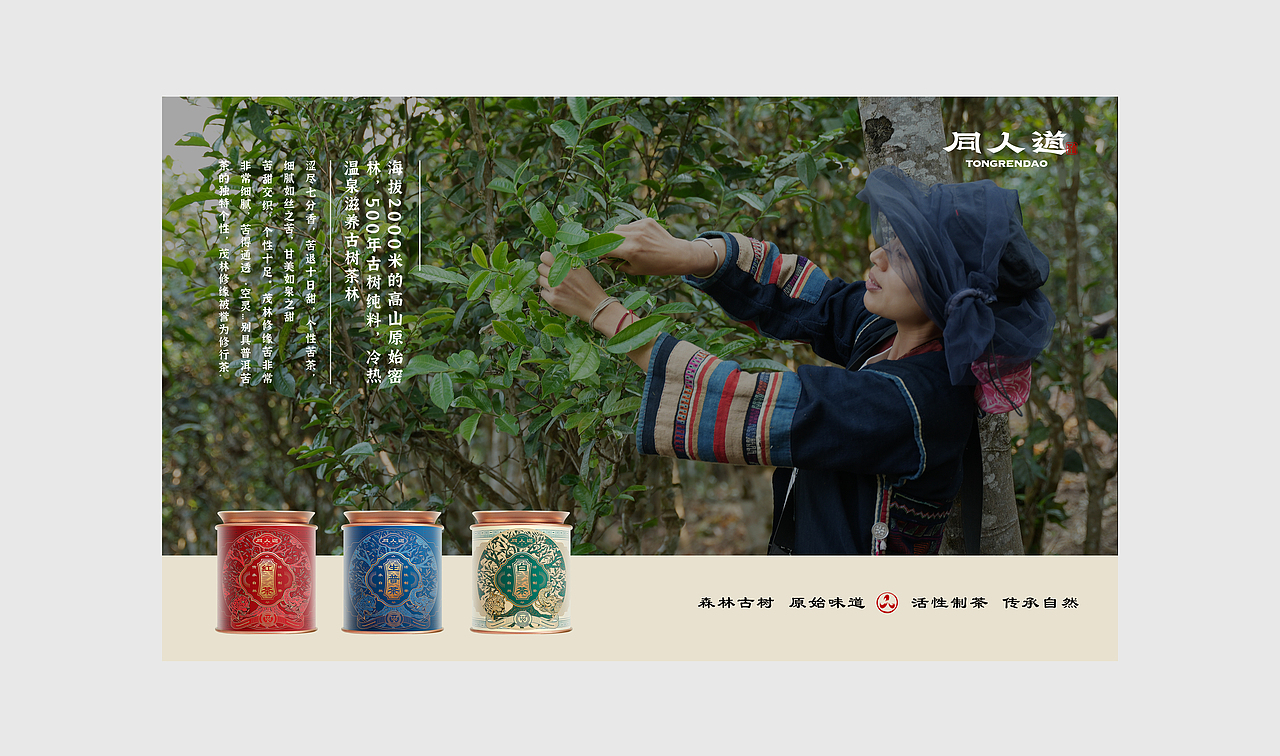 同人道茶品牌｜入选中国美协第二届全国平面设计展（图ZMzgzMTQyMDU2） - 品牌 - 站酷设计师卢丹品牌设计师原创素材 - 站酷ZCOOL