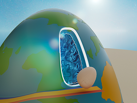 向阳而生、静谧绽放——Smartegg