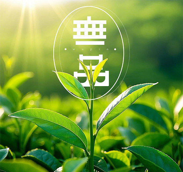 无品茶叶文字logo设计