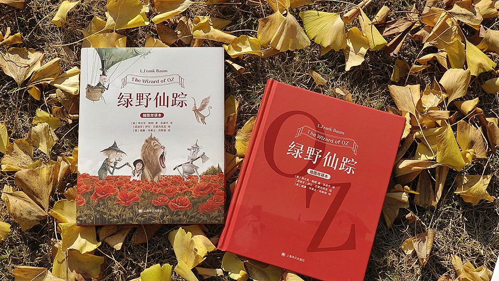 《绿野仙踪》精装双封 装帧设计（图ZMzgzMTU2ODY4） - 书籍/画册 - 站酷设计师lika原创素材 - 站酷ZCOOL