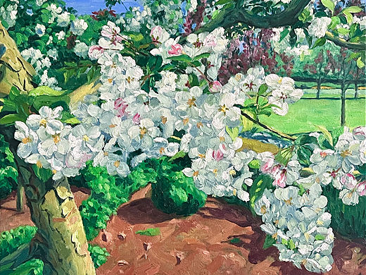 油画作品集