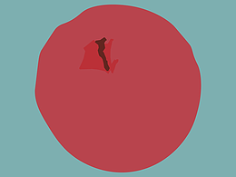 每日練習(xí)-2024/12/24