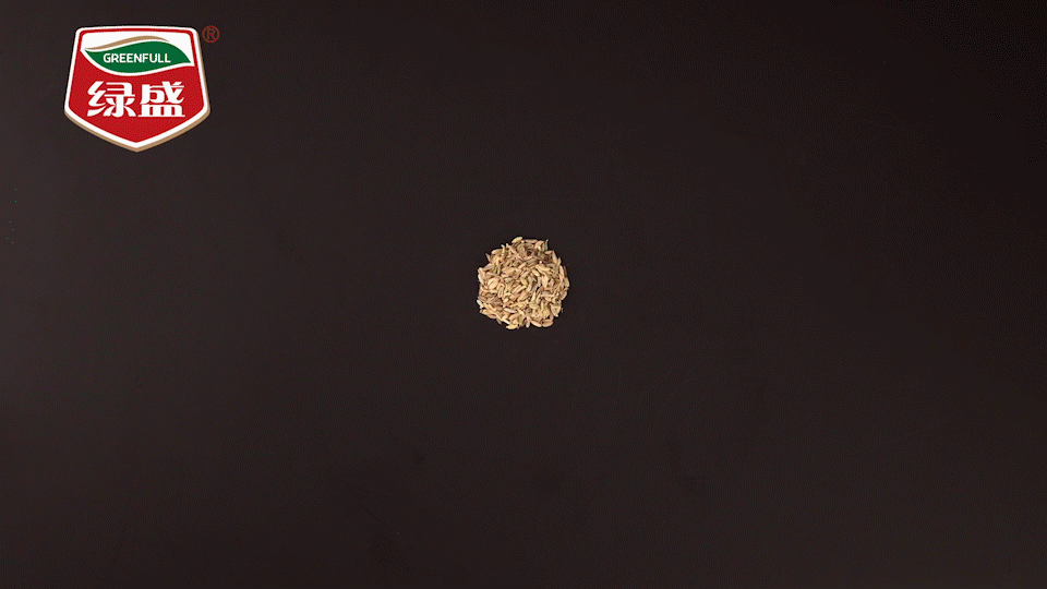 绿盛 | 牛肉棒 ✖ 电商视频 |