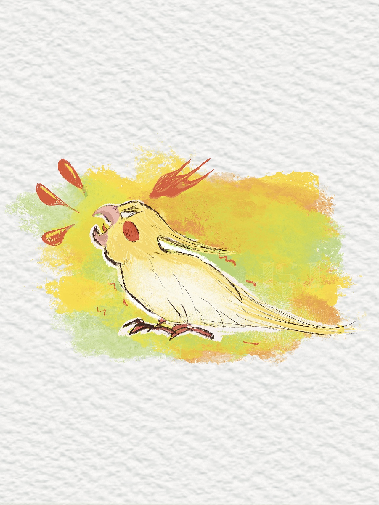 潦草鹦鹉创意插画～1（图ZMzgzMjA3NzM2） - 创作习作 - 站酷设计师久拾久原创素材 - 站酷ZCOOL